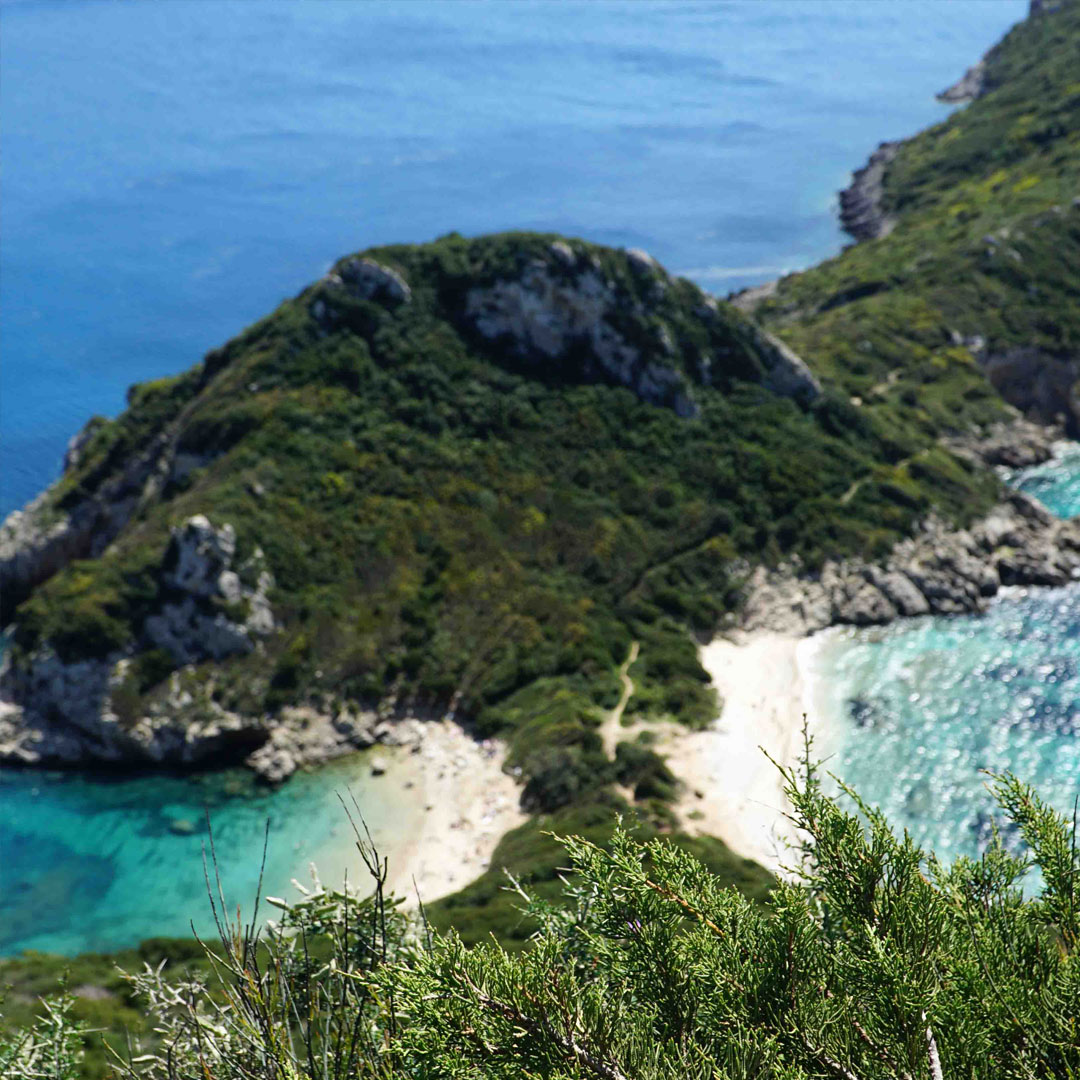 Embodied Intimacy: Pleasure, Connection & Play - Image 3