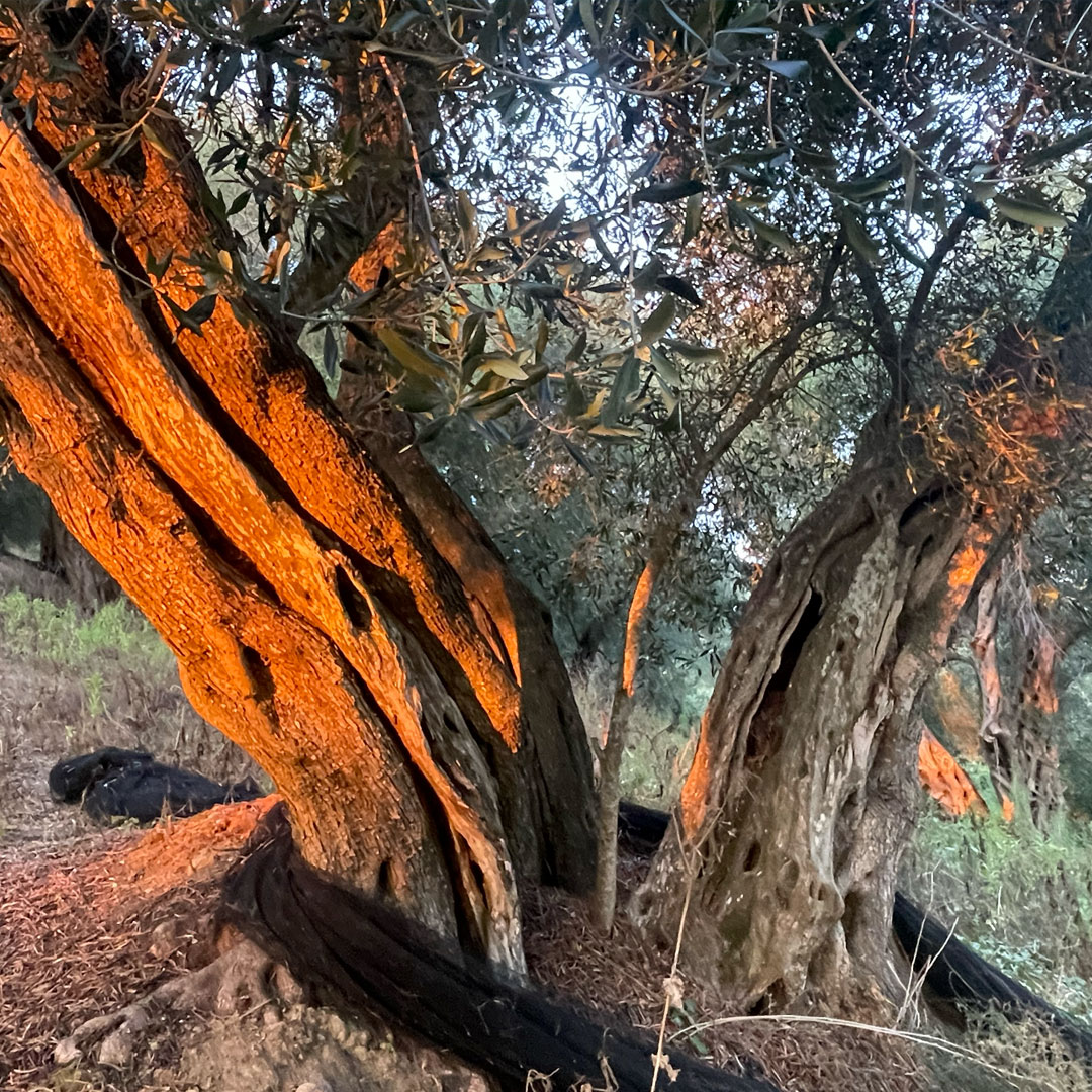 Embodied Intimacy: Pleasure, Connection & Play - Image 4