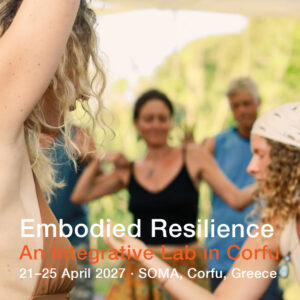 EmbResilience