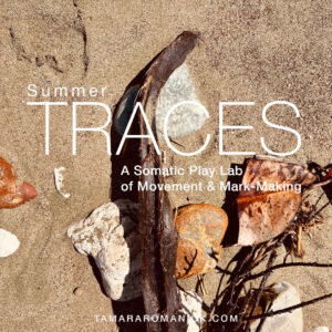 SummerTraces